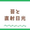 苔に直射日光が当たるとどうなる？日光に強い苔はある？