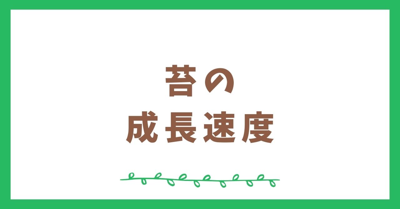 苔の成長速度はどのぐらい？～ゆっくり成長する苔の世界～