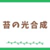 苔の光合成に関する3つの特徴～わたし達にもたらす恩恵とは？～