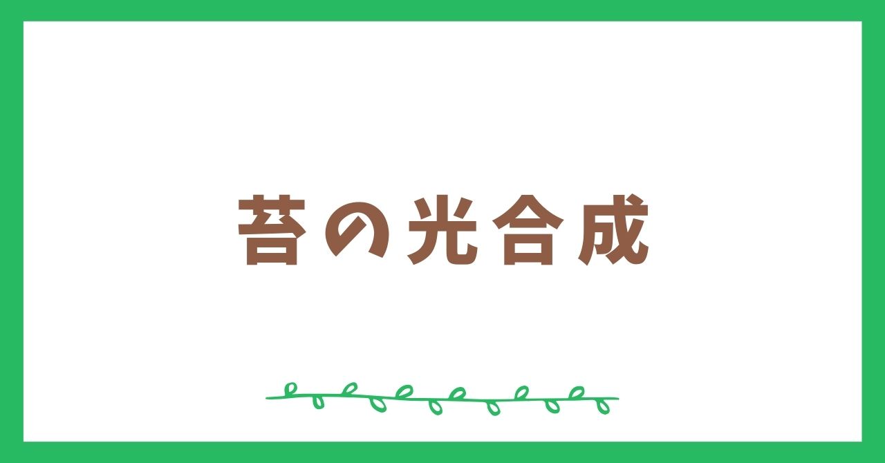 苔の光合成に関する3つの特徴～わたし達にもたらす恩恵とは？～