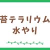 苔テラリウムの水やり頻度と注意点を分かりやすく解説