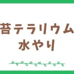 苔テラリウムの水やり頻度と注意点を分かりやすく解説