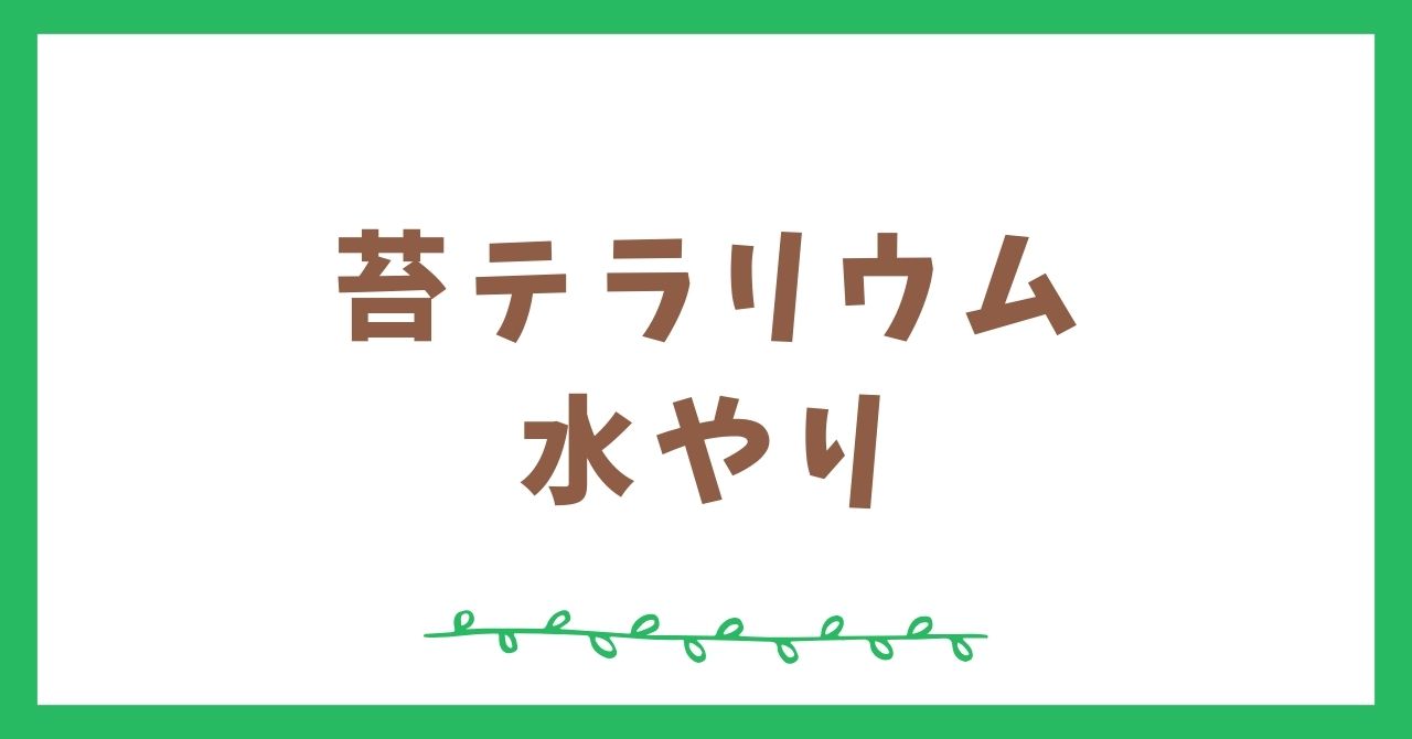 苔テラリウムの水やり頻度と注意点を分かりやすく解説