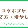 コツボゴケの育て方と増やし方【テラリウム初心者向け】