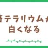 苔テラリウムが白くなる原因と対策を分かりやすく解説