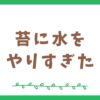 苔に水をやりすぎてしまった時の症状と対処法について