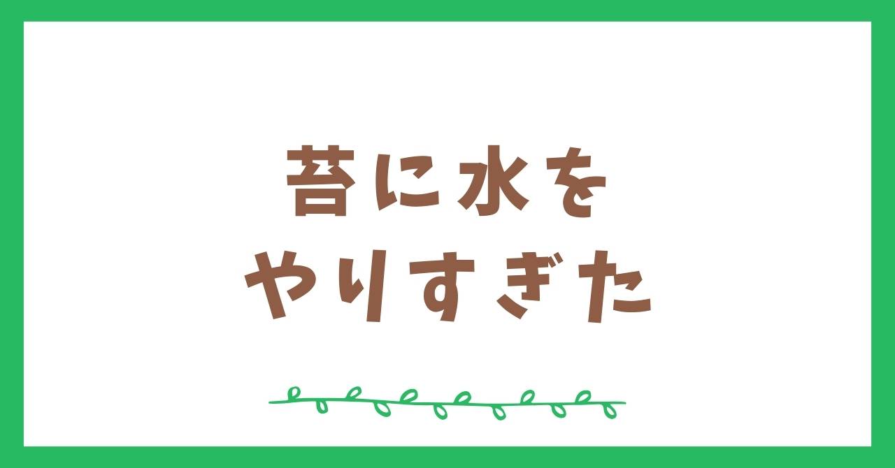 苔に水をやりすぎてしまった時の症状と対処法について