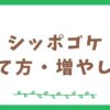 シッポゴケの育て方と増やし方【テラリウム初心者向け】