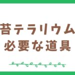 苔テラリウムに必要な道具・材料まとめ【初心者向け】