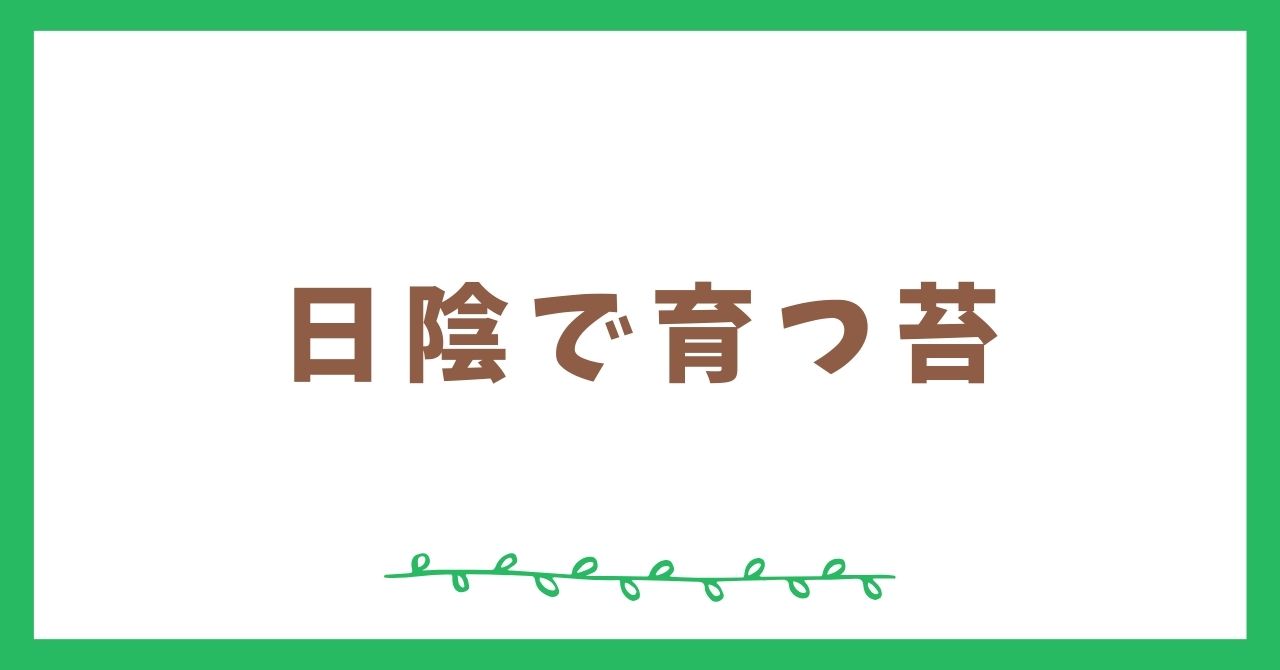 日陰で育つ苔はどんなものがある？おすすめ2選