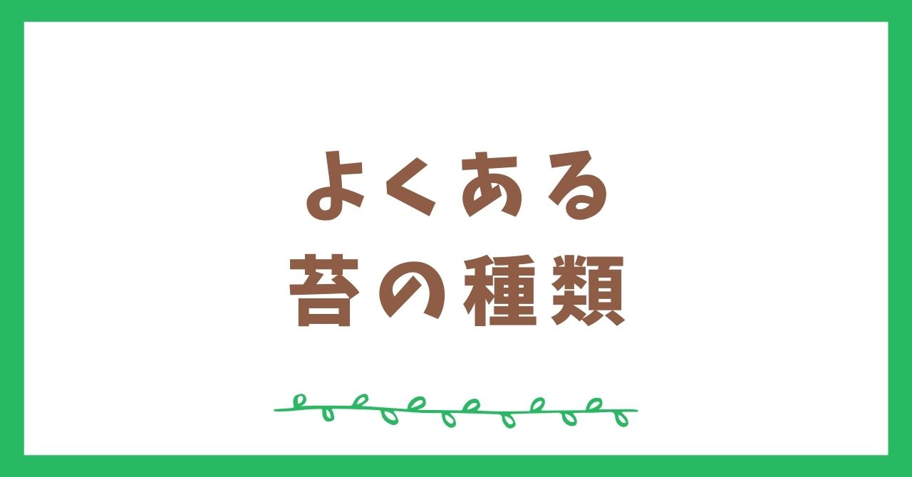 苔の種類まとめ！よくあるものについて調べてみよう