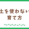 苔テラリウムで土を使わないで育てる方法と注意点