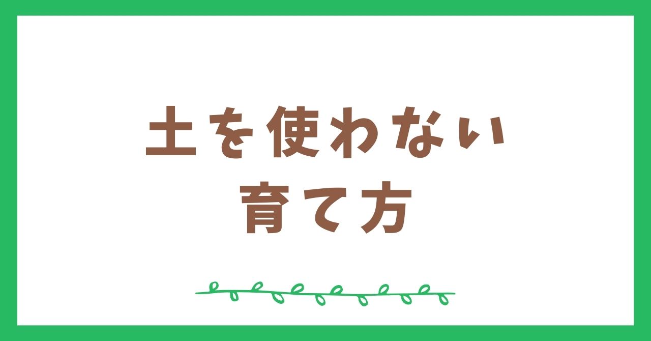 苔テラリウムで土を使わないで育てる方法と注意点