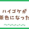 ハイゴケが茶色になる原因と復活させる方法