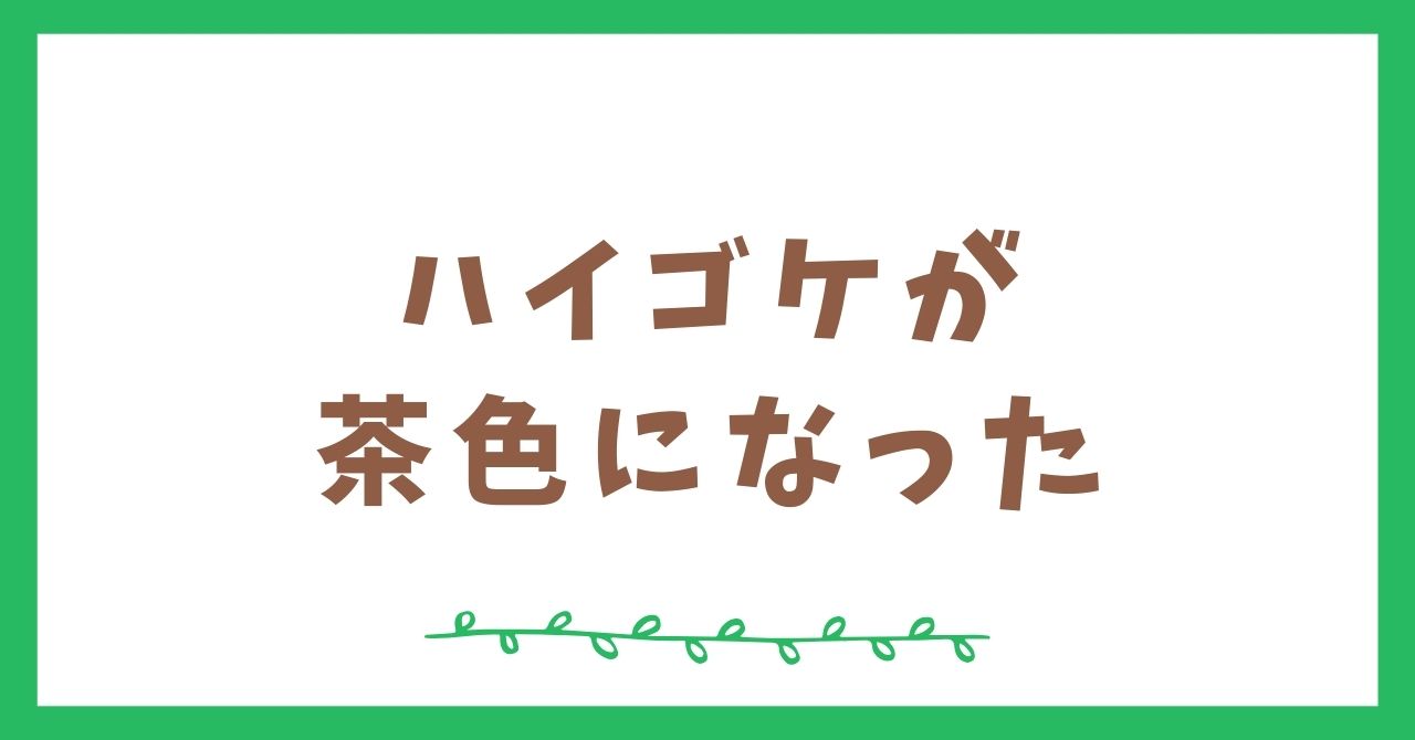 ハイゴケが茶色になる原因と復活させる方法