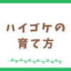 ハイゴケの特徴と育て方【テラリウム初心者向け】