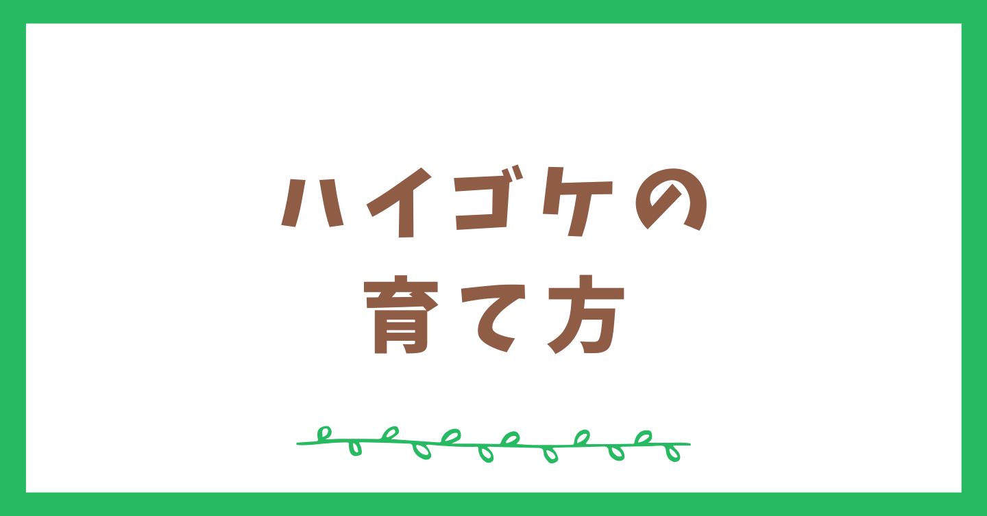 ハイゴケの特徴と育て方【テラリウム初心者向け】