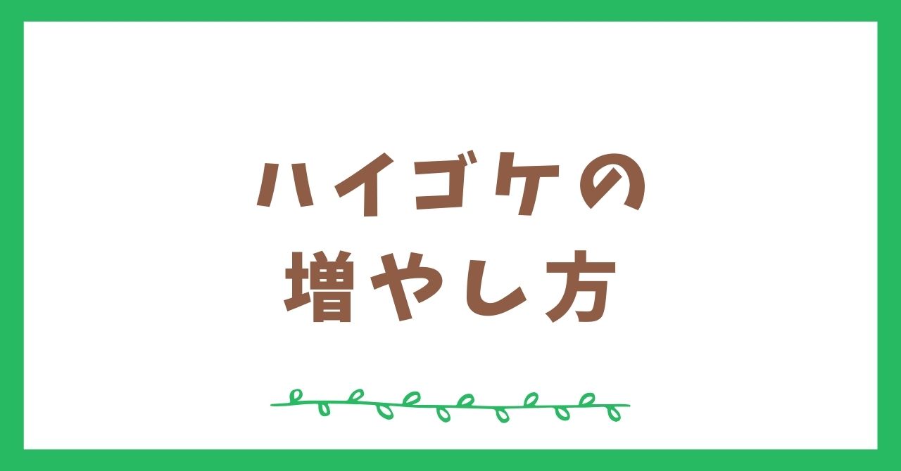 ハイゴケの増やし方【テラリウム初心者向け】