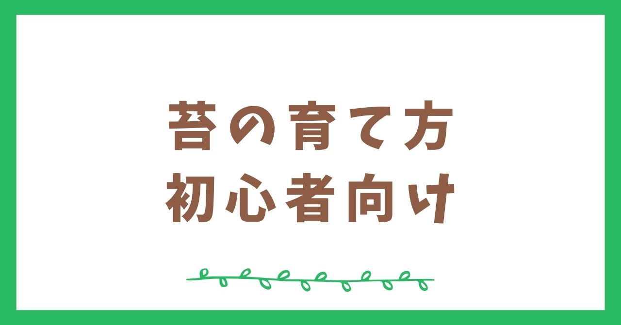 苔テラリウムの育て方まとめ【初心者向け】