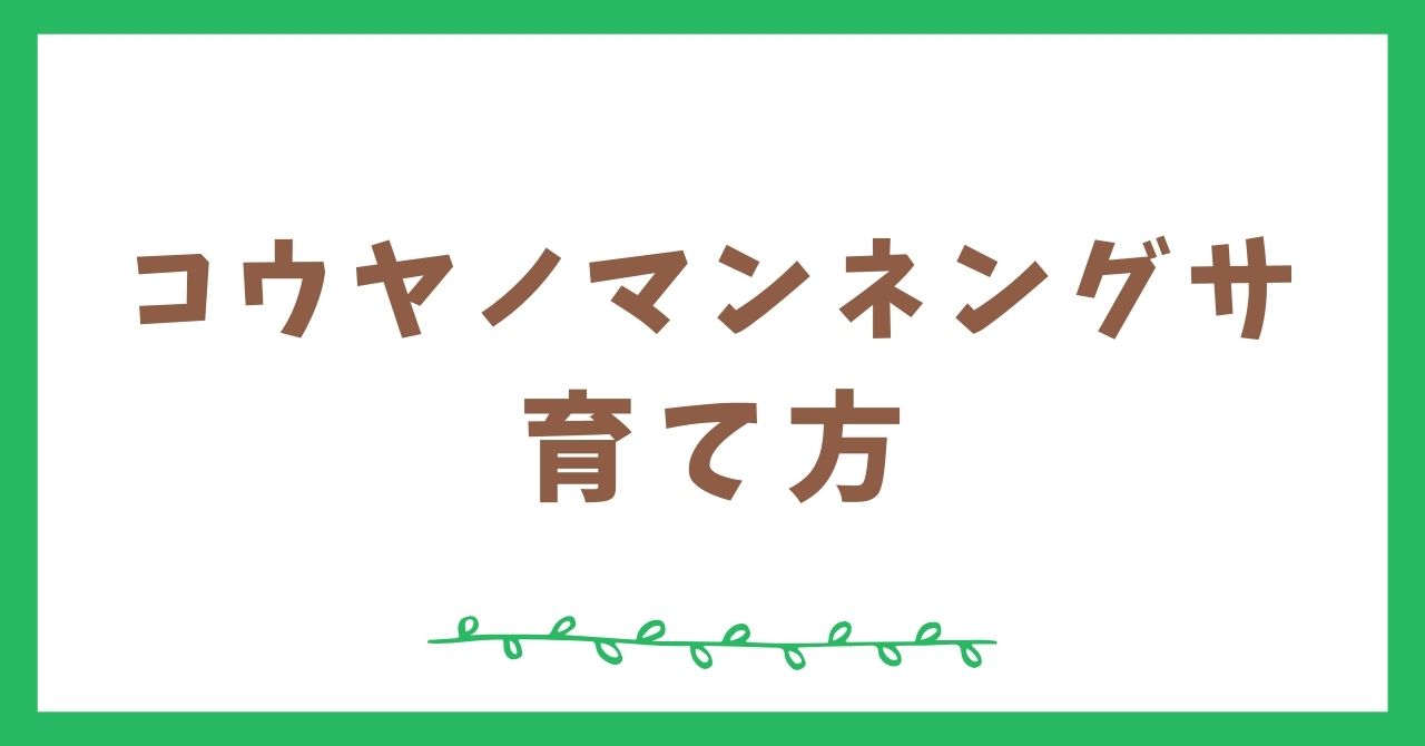 コウヤノマンネングサの育て方【テラリウム初心者向け】