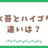 水苔とハイゴケの違いって何？比較してみた