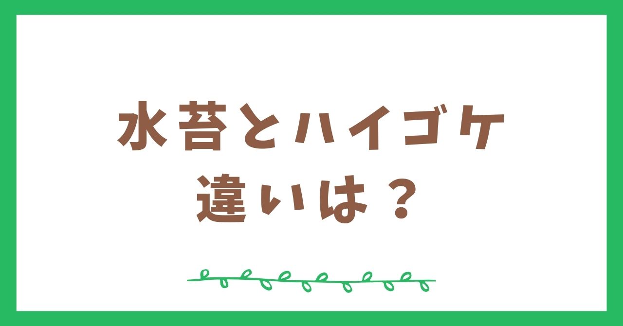 水苔とハイゴケの違いって何？比較してみた