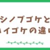 シノブゴケとハイゴケの違いは？比較してみた