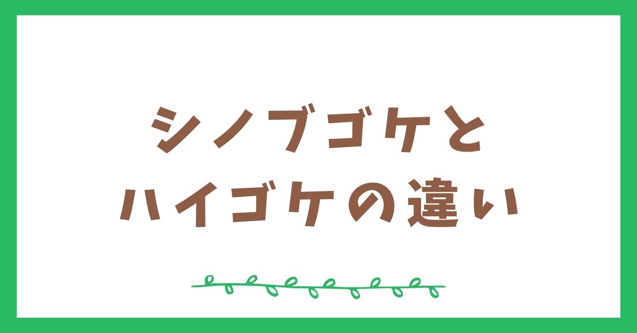 シノブゴケとハイゴケの違いは？比較してみた