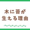 木に苔が生える理由は？｜森の生態系を支える小さな植物