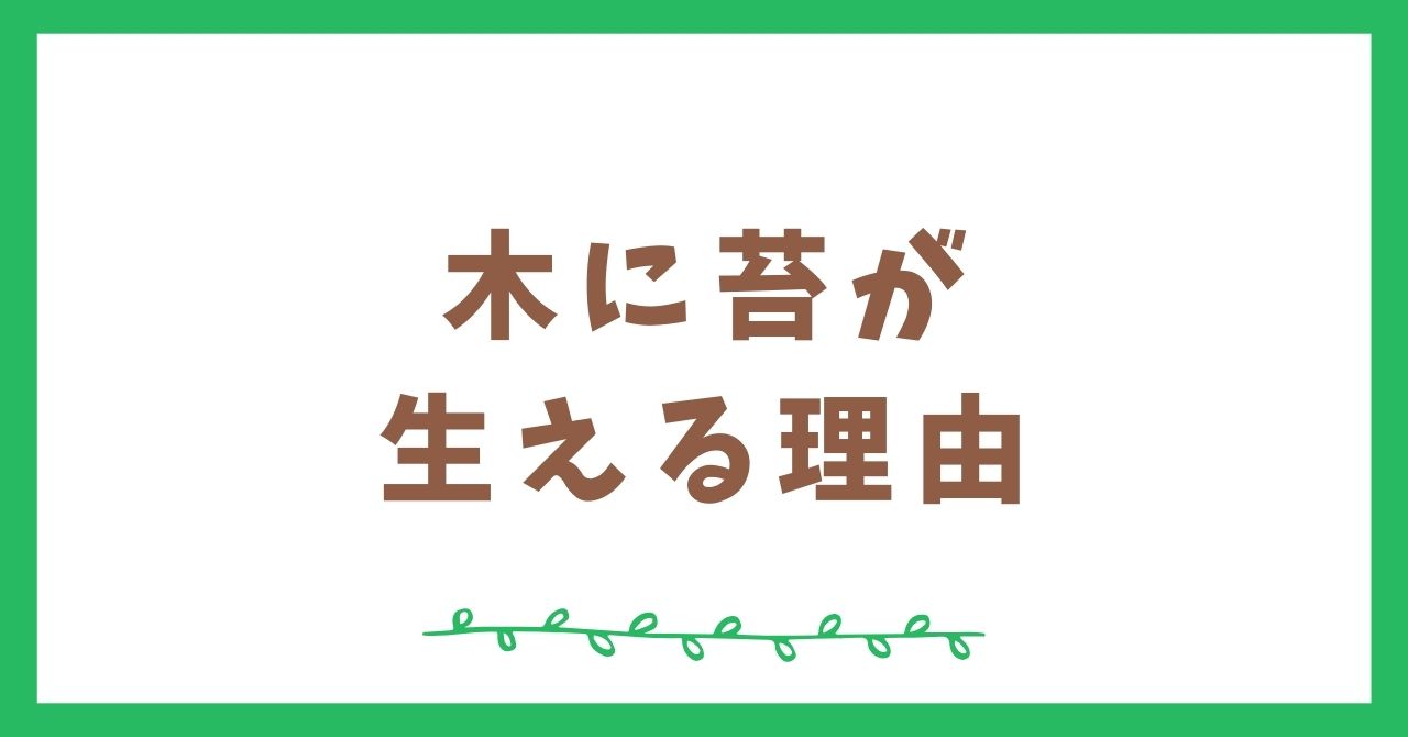 木に苔が生える理由は？｜森の生態系を支える小さな植物