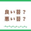 良い苔と悪い苔にはどんなものがある？まとめてみました