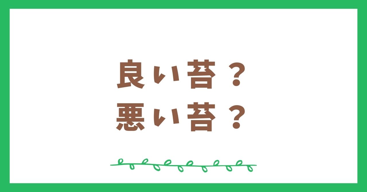 良い苔と悪い苔にはどんなものがある？まとめてみました